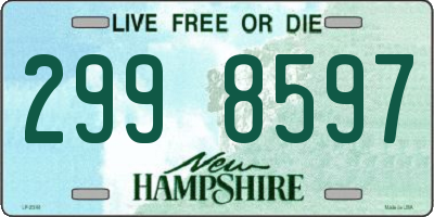 NH license plate 2998597