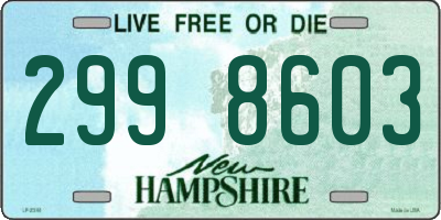 NH license plate 2998603