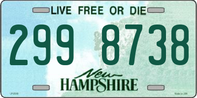 NH license plate 2998738