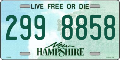 NH license plate 2998858
