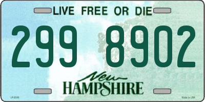 NH license plate 2998902