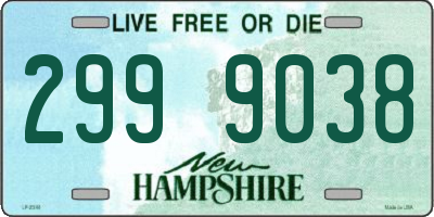 NH license plate 2999038