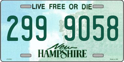 NH license plate 2999058