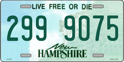 NH license plate 2999075