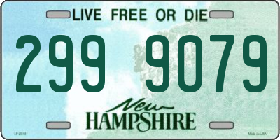 NH license plate 2999079
