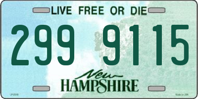 NH license plate 2999115