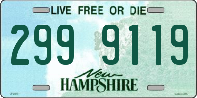 NH license plate 2999119