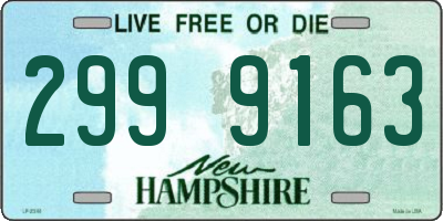 NH license plate 2999163