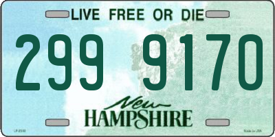 NH license plate 2999170