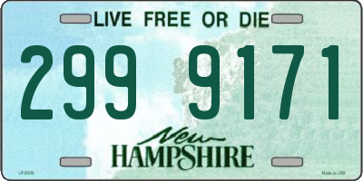 NH license plate 2999171