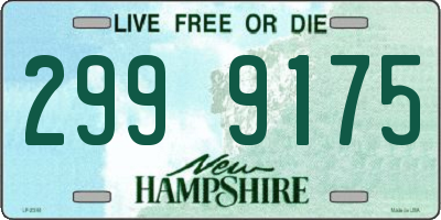 NH license plate 2999175