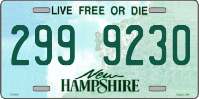 NH license plate 2999230
