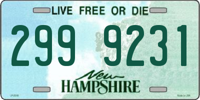 NH license plate 2999231