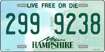 NH license plate 2999238
