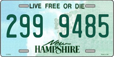 NH license plate 2999485