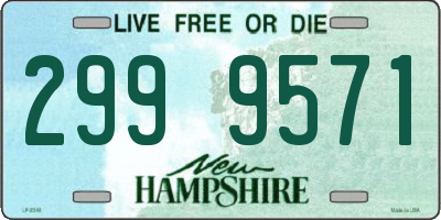 NH license plate 2999571