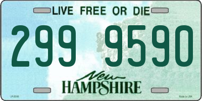 NH license plate 2999590