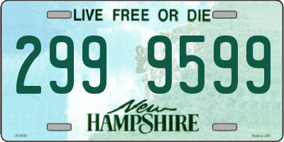 NH license plate 2999599