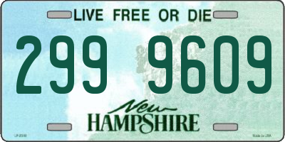 NH license plate 2999609
