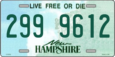 NH license plate 2999612