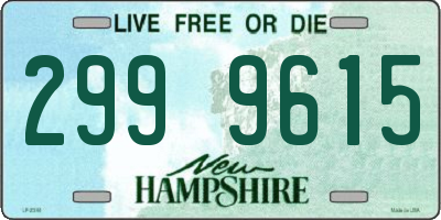 NH license plate 2999615
