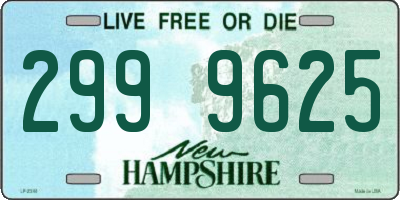 NH license plate 2999625