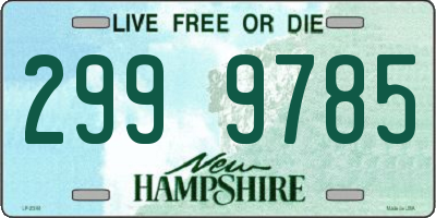 NH license plate 2999785