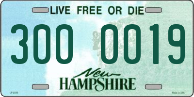 NH license plate 3000019