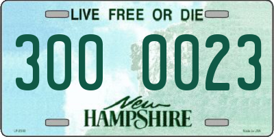NH license plate 3000023