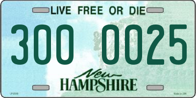 NH license plate 3000025
