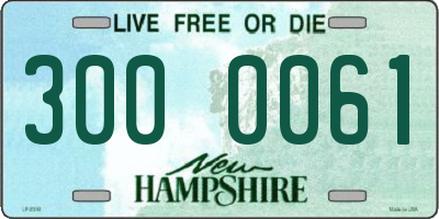 NH license plate 3000061