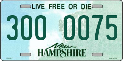 NH license plate 3000075