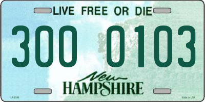 NH license plate 3000103