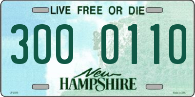 NH license plate 3000110