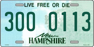 NH license plate 3000113