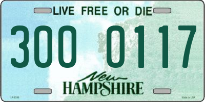 NH license plate 3000117