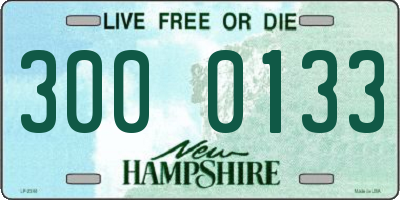 NH license plate 3000133