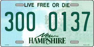 NH license plate 3000137