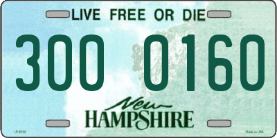 NH license plate 3000160