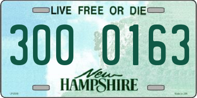 NH license plate 3000163