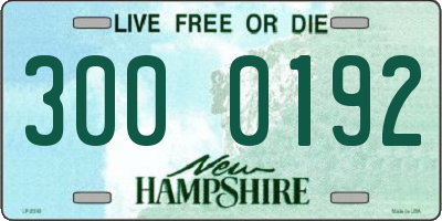 NH license plate 3000192