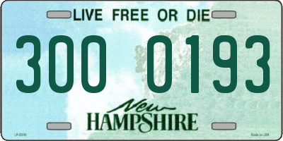 NH license plate 3000193