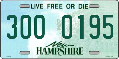 NH license plate 3000195
