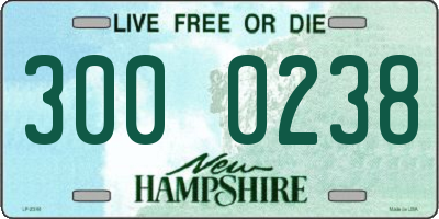 NH license plate 3000238