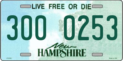 NH license plate 3000253