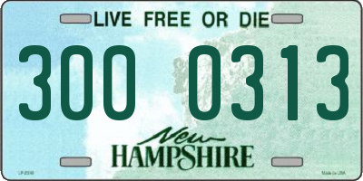 NH license plate 3000313