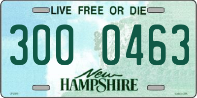 NH license plate 3000463