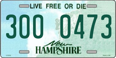 NH license plate 3000473
