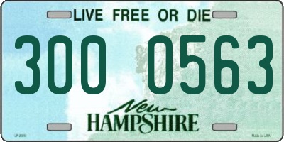 NH license plate 3000563