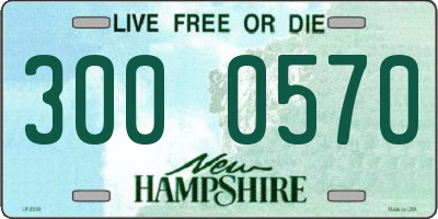 NH license plate 3000570